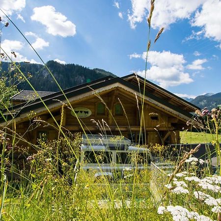 Chalet Carnauba Châtel Екстериор снимка