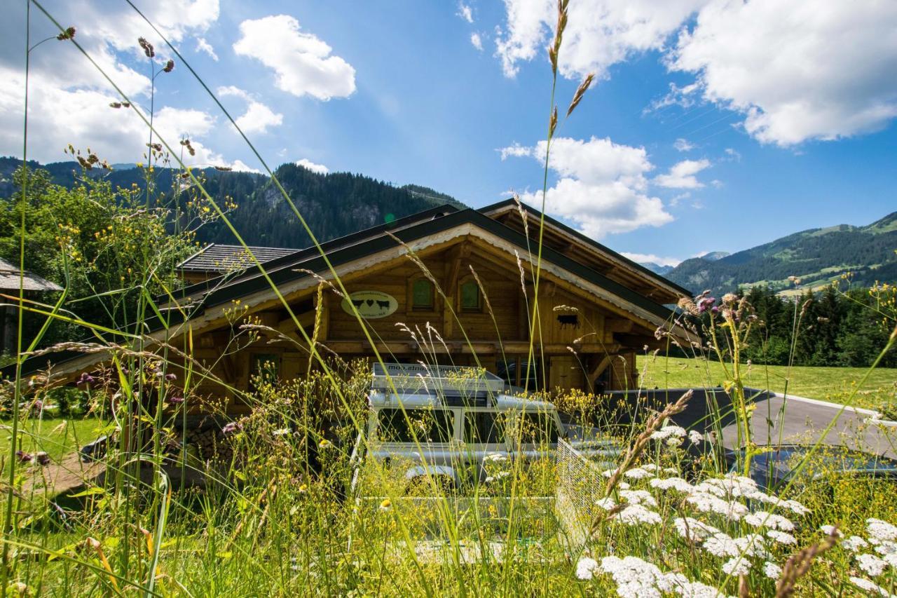 Chalet Carnauba Châtel Екстериор снимка