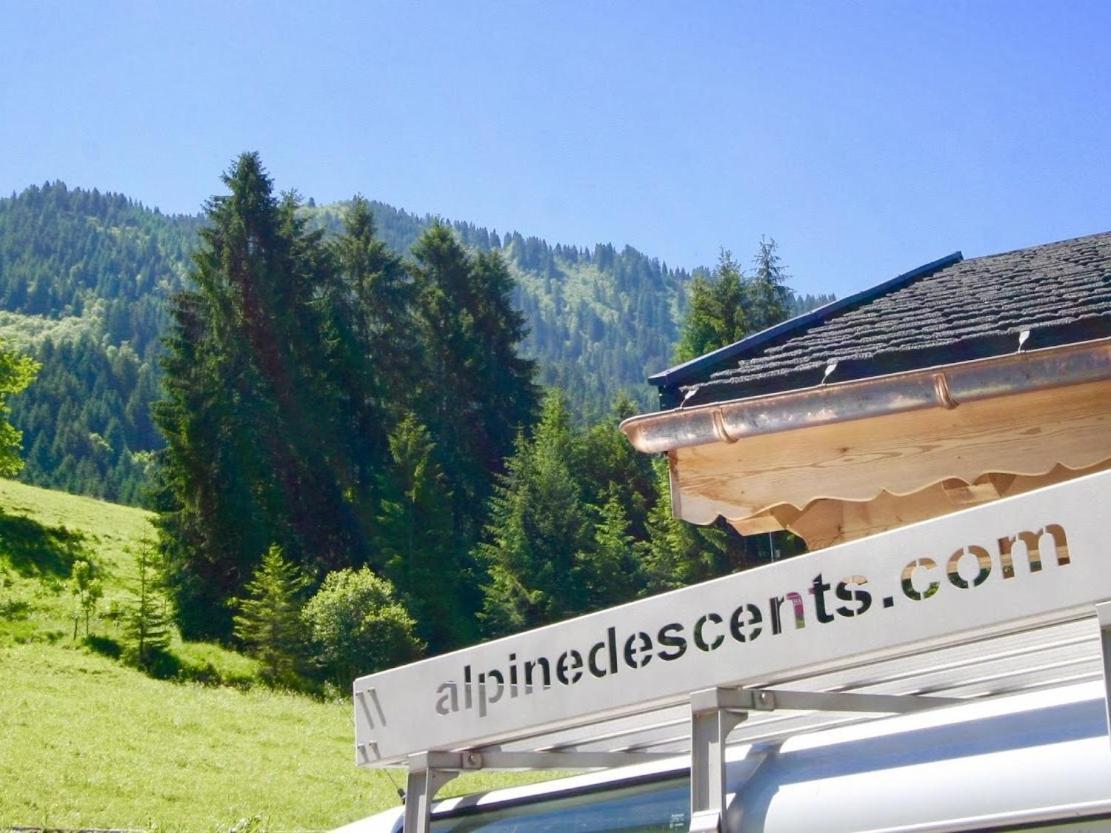 Chalet Carnauba Châtel Екстериор снимка